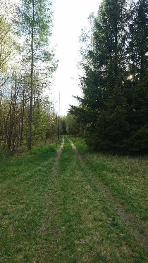 Cicho Cichuteńko * Narew